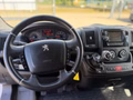 Daumennagel 11 - Peugeot Boxer Kasten Hochraum L2H2 Premium/Kamera/AHK