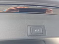 Daumennagel 18 - CUPRA Terramar 1.5 eTSI DSG ACC/Kessy/el.Klappe/Winterp. **