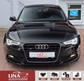 Daumennagel 10 - Audi A5 3.0 TDI Sportb. Quat. B&O Kamera 4xSHZ Memory