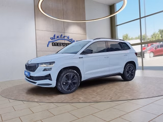 Skoda Karoq age.one-day registration Kaufen