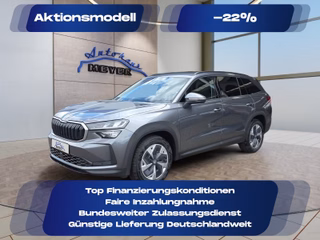 Skoda Kodiaq age.one-day registration Kaufen