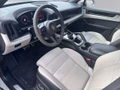 Daumennagel 13 - Porsche Cayenne E-Hybrid