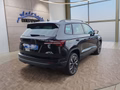 Daumennagel 6 - Skoda Karoq 1,5TSI DSG 18*Alu/aAHK/ACC/Kamera/Winterp.       **