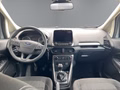 Daumennagel 13 - Ford EcoSport Cool & Connect