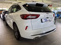Daumennagel 2 - Ford Kuga FHEV Hybrid ST-Line