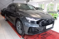 Daumennagel 8 - Audi Q8 50 TDI quattro S-LINE