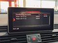Daumennagel 25 - Audi SQ5 3.0 TDI quattro MATRIX|STHZ+SHZ|360°|ACC+SPUR