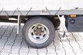 Daumennagel 9 - Iveco Daily 35C18 Doka Pritsche Plane 4x4 ALLRAD