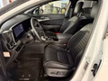 Daumennagel 12 - Kia Sportage GT-Line 4WD Dynamics+ DCT*Panorama*NAVI