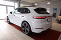 Daumennagel 3 - Porsche Cayenne E-Hybrid Platinum Edition