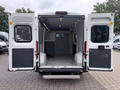 Daumennagel 5 - Peugeot Boxer Kasten Hochraum 333 L2H2 Premium/Kamera+