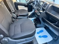 Daumennagel 14 - Peugeot Boxer 2.0HDI 335 L2H2 163 ps
