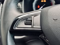 Daumennagel 25 - Skoda Kodiaq Style |Standheizung|LED|Kamera|SHZ|CarPlay|