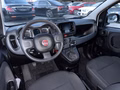 Daumennagel 9 - Fiat Panda 1.0 GSE *1.HAND*WENIG KM*KLIMA*DAB*