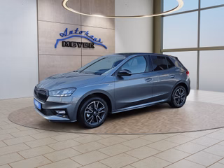 Skoda Fabia age.one-day registration Kaufen