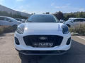 Daumennagel 3 - Ford Puma 1.0 EcoBoost Hybrid Titanium ACC/RFK/LED