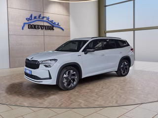 Skoda Kodiaq age.one-day registration Kaufen