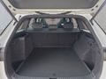 Daumennagel 17 - Skoda Kodiaq Sportline 1,5 TSI iV aAHK/Pano/Matrix/Navi  **