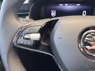 Skoda Scala Ambition Autom., LED CarPlay ACC PDC - foto 8