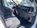 Daumennagel 10 - Ford Transit Kombi 350 L3 Trend Behindertengerecht