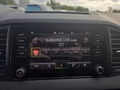 Daumennagel 26 - Skoda Karoq 1,5TSI DSG aAHK/ACC/Kamera/Winterp.       **