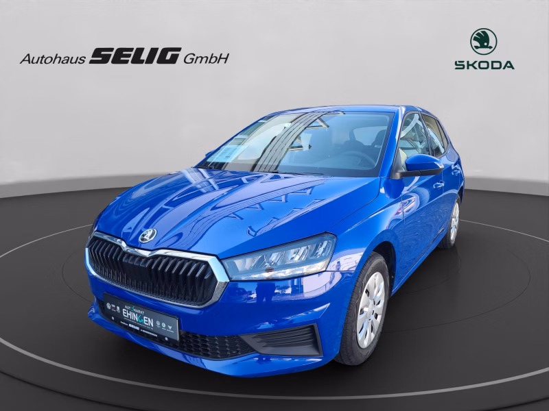 Skoda Fabia Active 1.0 65 PS,PDC,SmartLink,SH,WP
