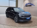 Daumennagel 7 - Skoda Kodiaq 2,0TSI DSG 4x4 aAHK/7-Sitzer/Matrix/Navi/el.Klappe   **