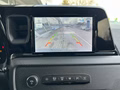 Daumennagel 15 - Ford Tourneo Courier Trend - Fahrer Assist.P - Top