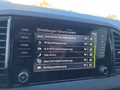 Daumennagel 45 - Skoda Karoq Sportline 2,0TDI DSG 4*J.Gar/Pano/aAHK/Matrix/Navi    **