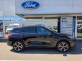 Daumennagel 4 - Ford Kuga Plug-In Hybrid ST-Line X - Fahrer Assist.P. - Techno.P. - Schiebedach - 19 Zoll - HUD-VOLL