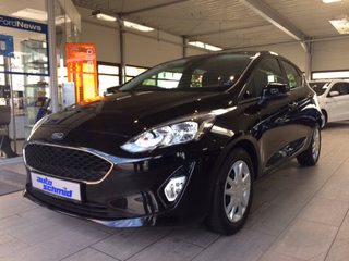 Ford Fiesta Jahreswagen Kaufen