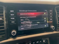 Daumennagel 19 - Skoda Kodiaq Sportline 4x4 2.0 TDI DSG AHK StHz 20"