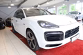 Daumennagel 11 - Porsche Cayenne E-Hybrid Platinum Edition