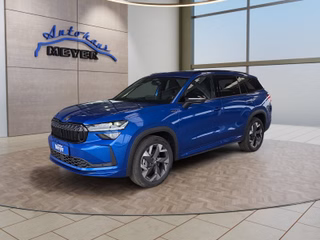Skoda Kodiaq age.one-day registration Kaufen