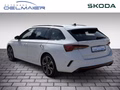 Daumennagel 4 - Skoda Octavia Combi RS Plus 4x4 ACC AHK Standheizung
