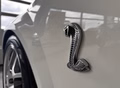 Daumennagel 8 - Ford Mustang Shelby GT 500 SVT