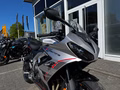 Daumennagel 10 - Triumph Daytona 660 MY26 Quickshifter+A2 möglich