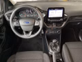 Daumennagel 6 - Ford Fiesta 1.0 EcoBoost S&S TITANIUM Winter-Paket