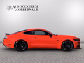Daumennagel 7 - Ford Mustang GT 5.0 V8 *RECARO*SPORT-ABGAS*H&R*MAXTON