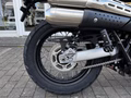 Daumennagel 10 - Triumph Scrambler 900 MY26 Sofort Verfügbar!