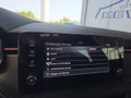 Daumennagel 39 - Skoda Kamiq Monte Carlo 1,5TSI DSG 5*J.Gar/Kessy/Matrix/Winterp/Kamera