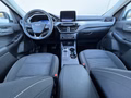 Daumennagel 7 - Ford Kuga Plug-In Hybrid Titanium