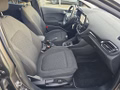 Daumennagel 13 - Ford Fiesta 1.0 EcoBoost S&S TITANIUM Winter-Paket