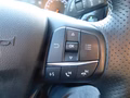 Daumennagel 14 - Ford Fiesta ST