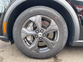 Daumennagel 11 - Ford Mustang Mach-E RWD Standard Range 75,7kWh