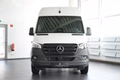 Daumennagel 4 - Mercedes-Benz Sprinter III Kasten RWD/AWD 317 CDI RWD L2 PRO
