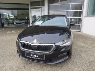 Skoda Scala age.one-day registration Kaufen