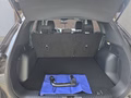 Daumennagel 31 - Ford Kuga ST-Line 2.5 Plug-in-Hybrid aAHK/Keyless/Winterp/LED/Navi  **