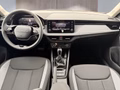 Daumennagel 11 - Skoda Kamiq Selection 1,0TSI DSG Kessy/Kamera/Temp/2-Z.Klimaaut.  **