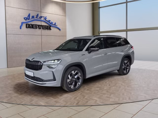 Skoda Kodiaq age.one-day registration Kaufen